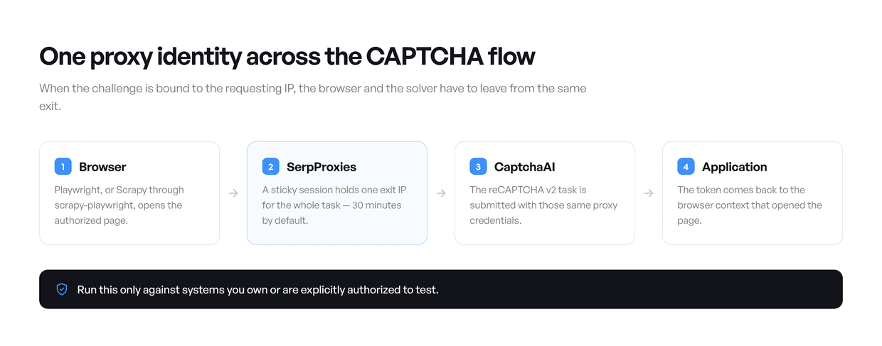 Browser, SerpProxies, CaptchaAI and the application all sharing one sticky proxy identity